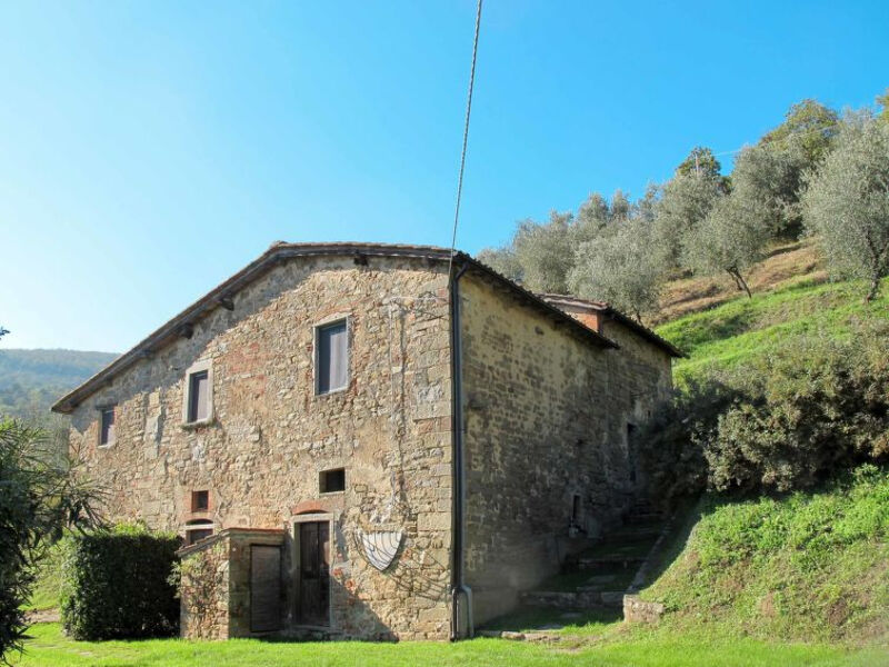 Fattoria Di Pietrabuona