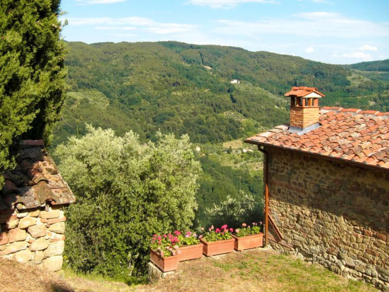 Fattoria Di Pietrabuona