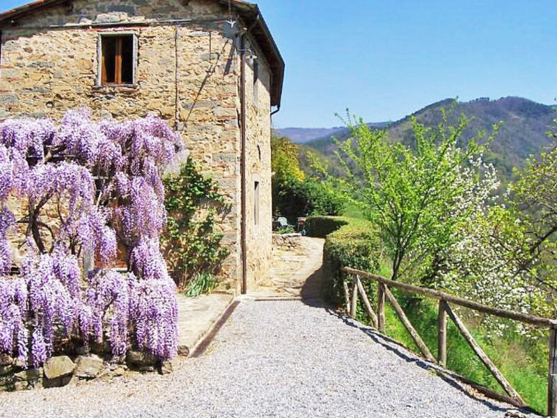 Fattoria Di Pietrabuona