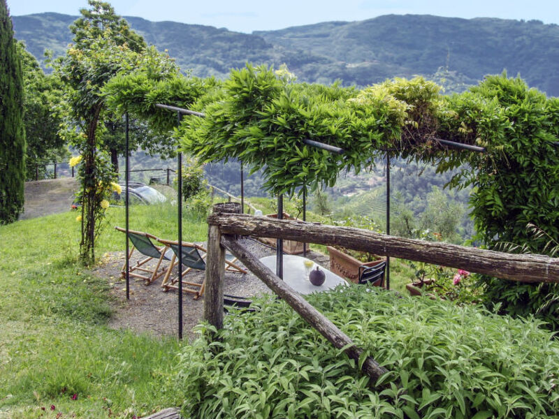 Fattoria Di Pietrabuona