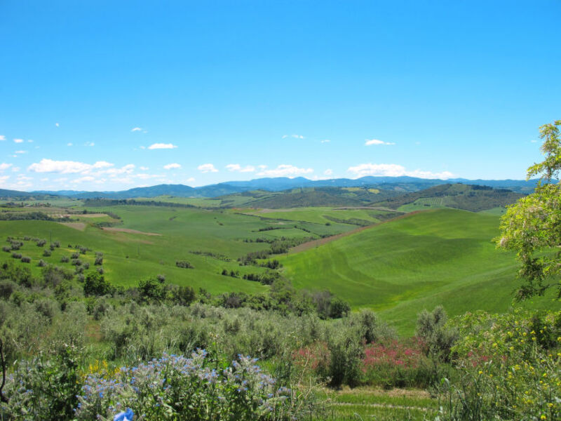 Agriturismo Casallario