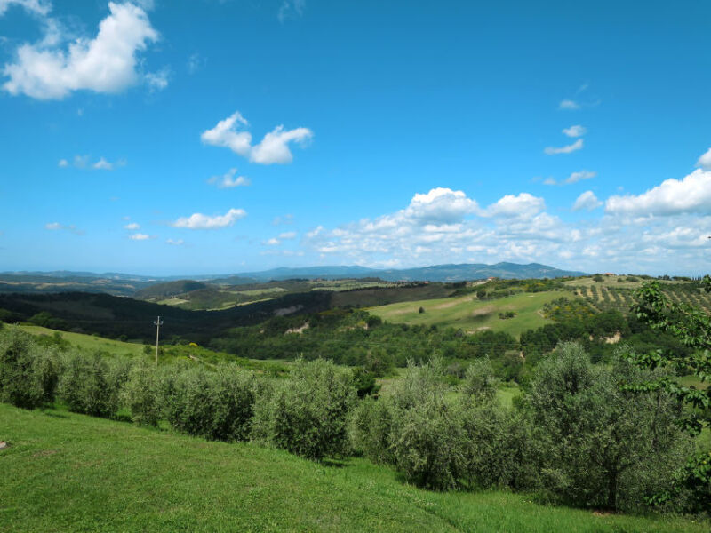 Podere Santa Enerichetta