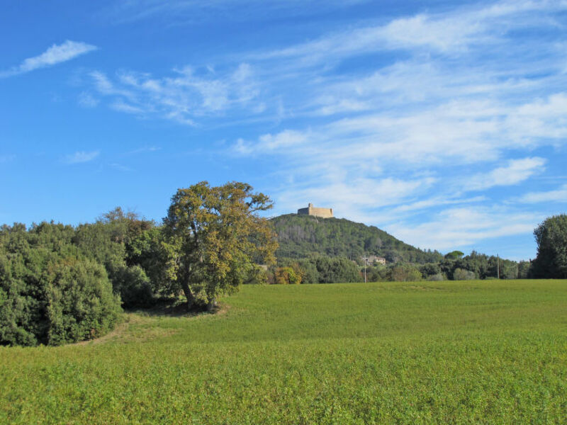 Poggio Alla Fame