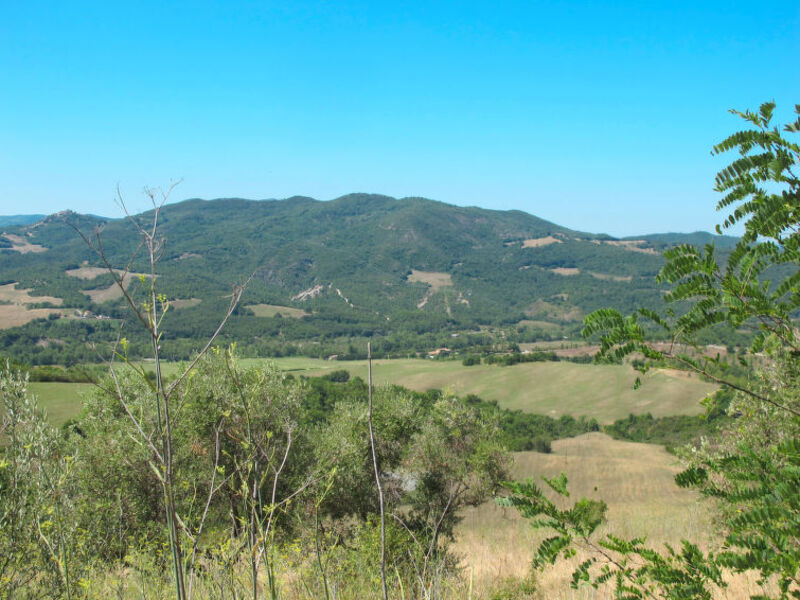 Agriturismo Piettorri