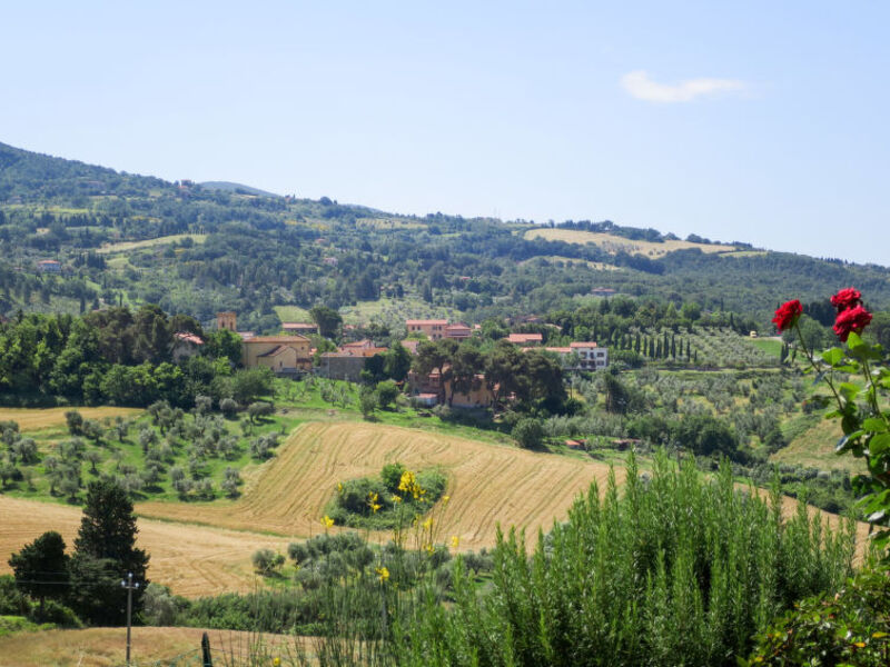 Residence Macchia Al Pino