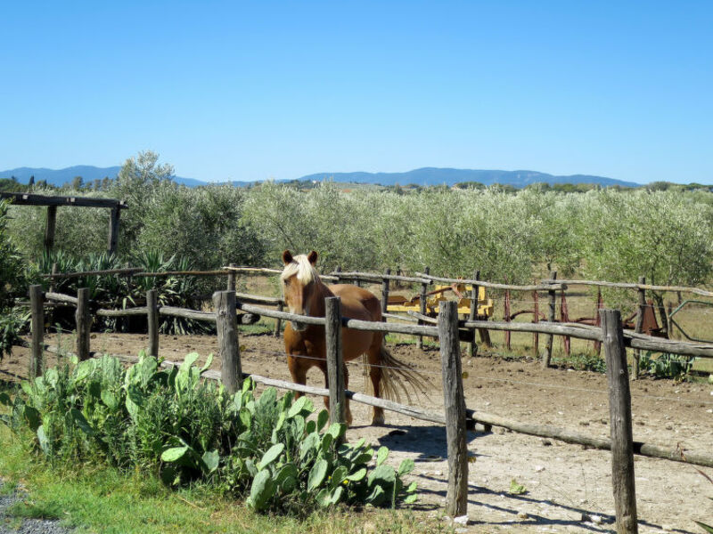 Podere Bellosguardo