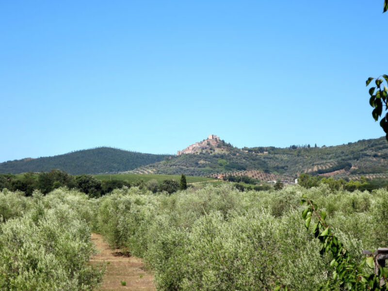 Podere Bellosguardo