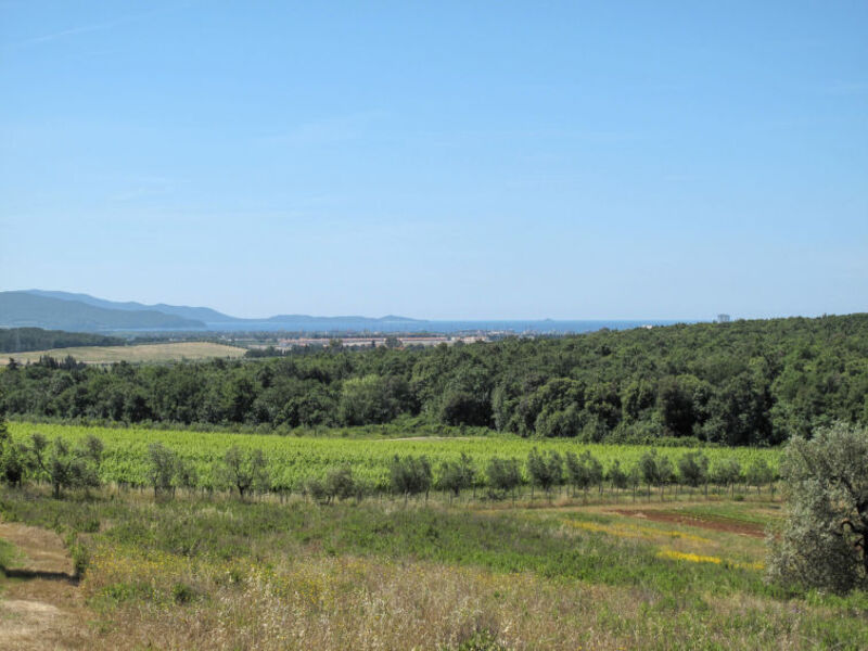 Podere Campo Fiorito