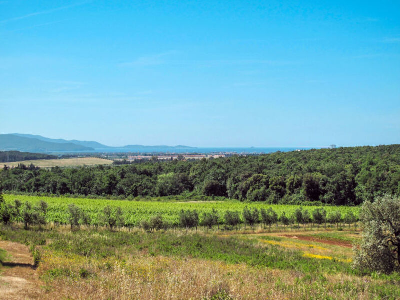 Podere Campo Fiorito