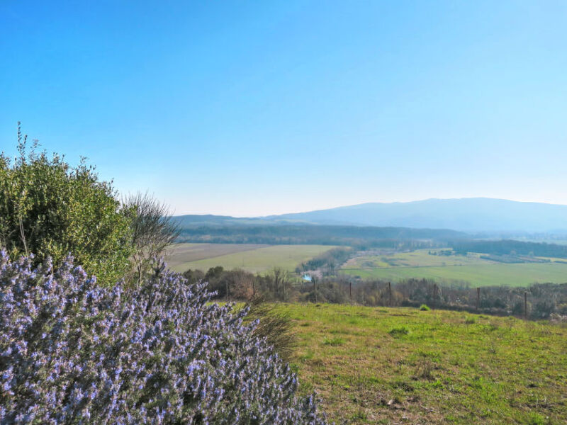 Fattoria Il Santo