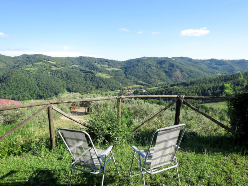 Azienda Agricola Il Monte