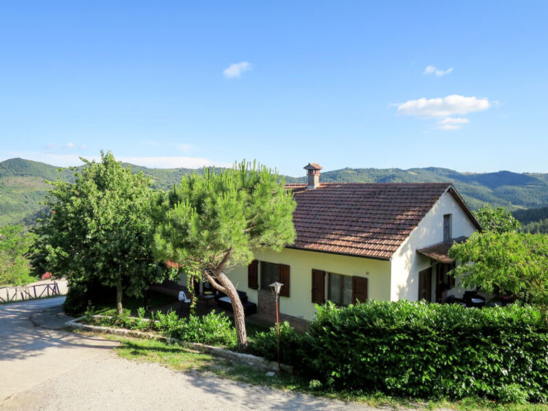 Azienda Agricola Il Monte