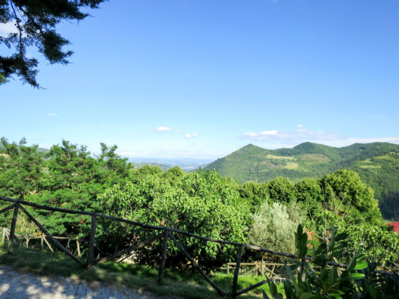 Azienda Agricola Il Monte