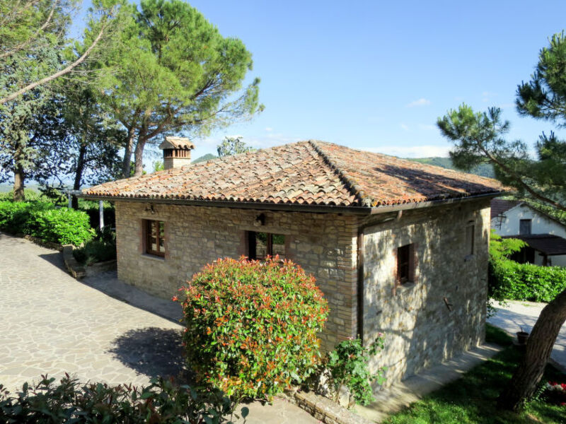 Azienda Agricola Il Monte