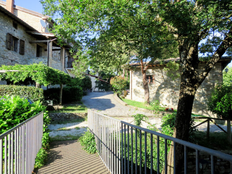 Azienda Agricola Il Monte