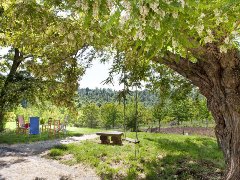 Agriturismo Poggio Del Miglio