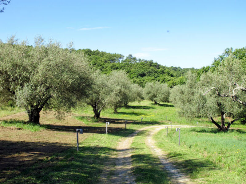 Casa Beltramonto