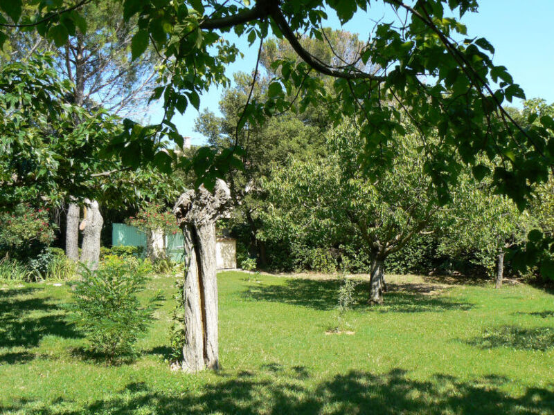 L'Oasis Provencale