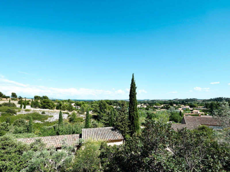 Les Garrigues De La Vallée Des Baux