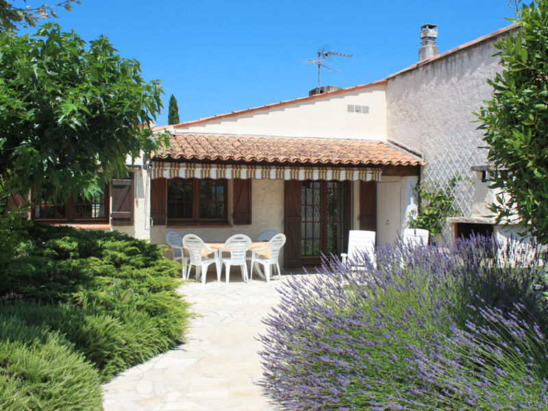 Les Pins Parasols