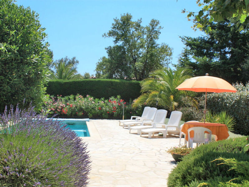 Les Pins Parasols