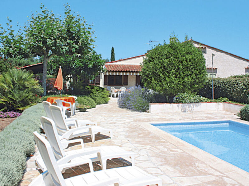 Les Pins Parasols