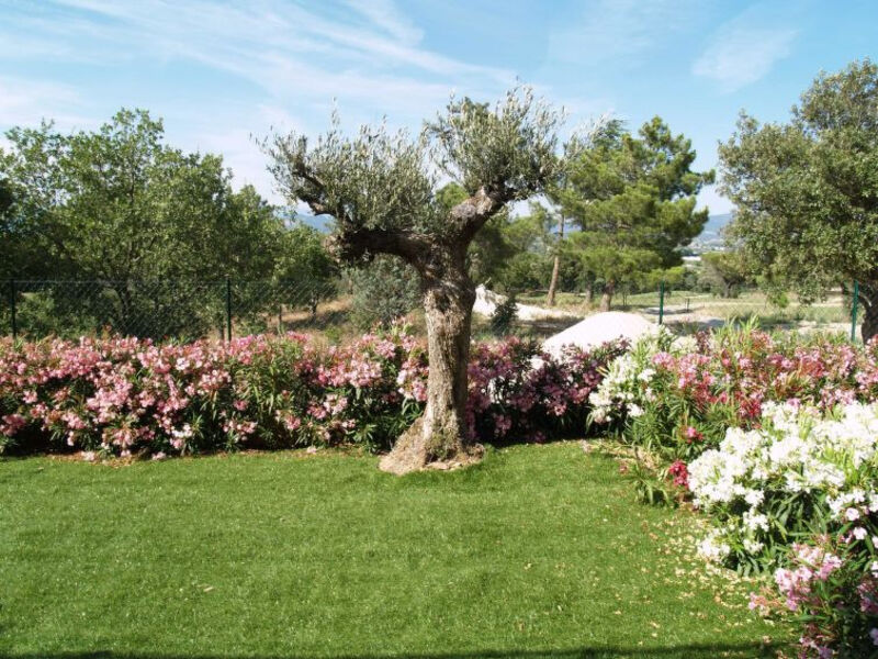 Résidence Green Bastide