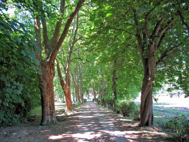 La Bergerie Des Vignes