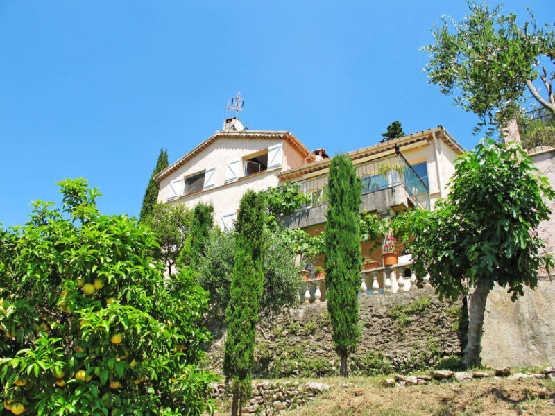 Villa Viva