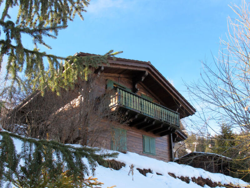 Chalet Luca