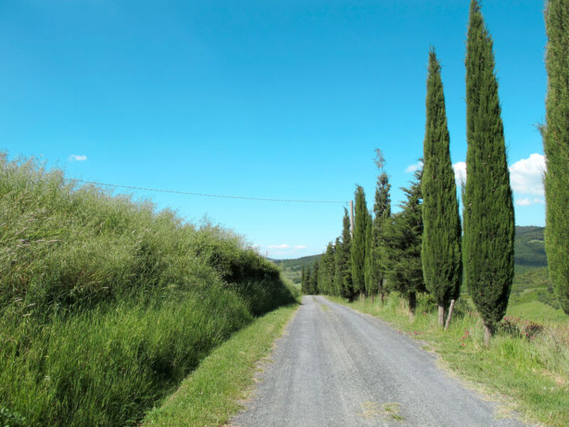 Podere Cafaggiolo