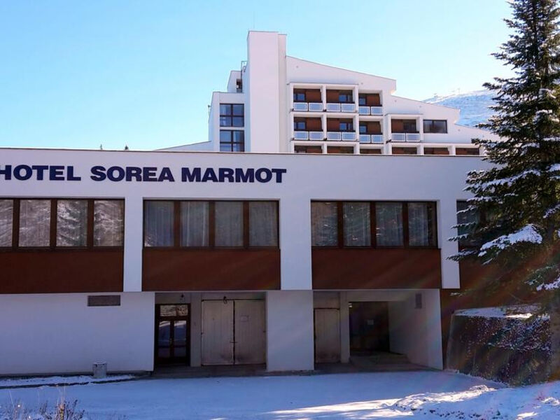 Sorea Marmot