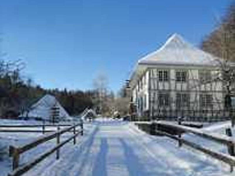 Hotel Brienzerburli & Weisses Kreuz