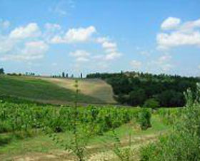 Appartementhaus Fattoria Colleverde