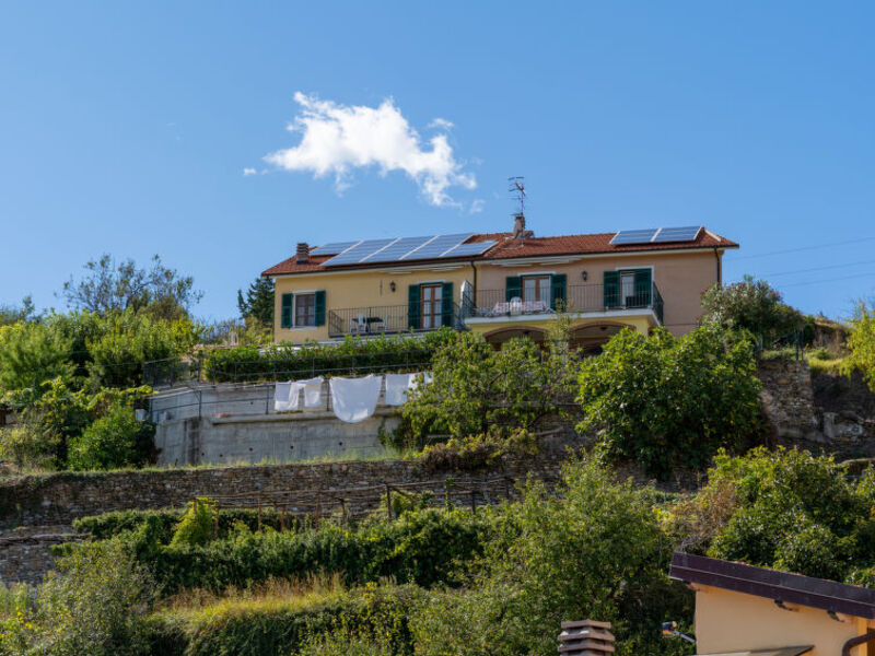 Mimosa - Agriturismo San Giuseppe