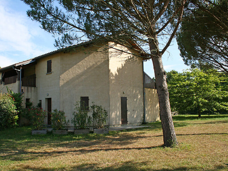 Maison Dino 1