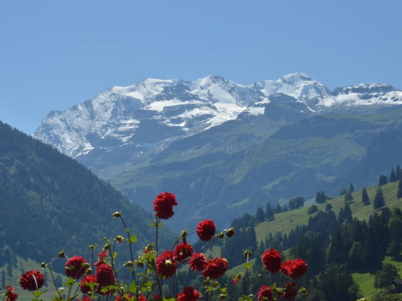 Chalet Zimmermann