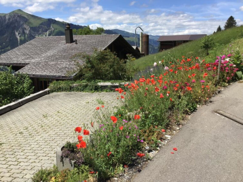 Ferienhaus Datscha