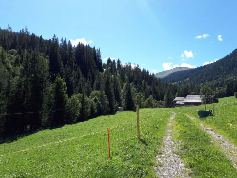 Linders Vorsass (Alphütte)