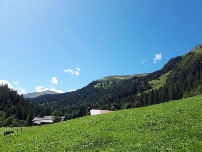 Linders Vorsass (Alphütte)