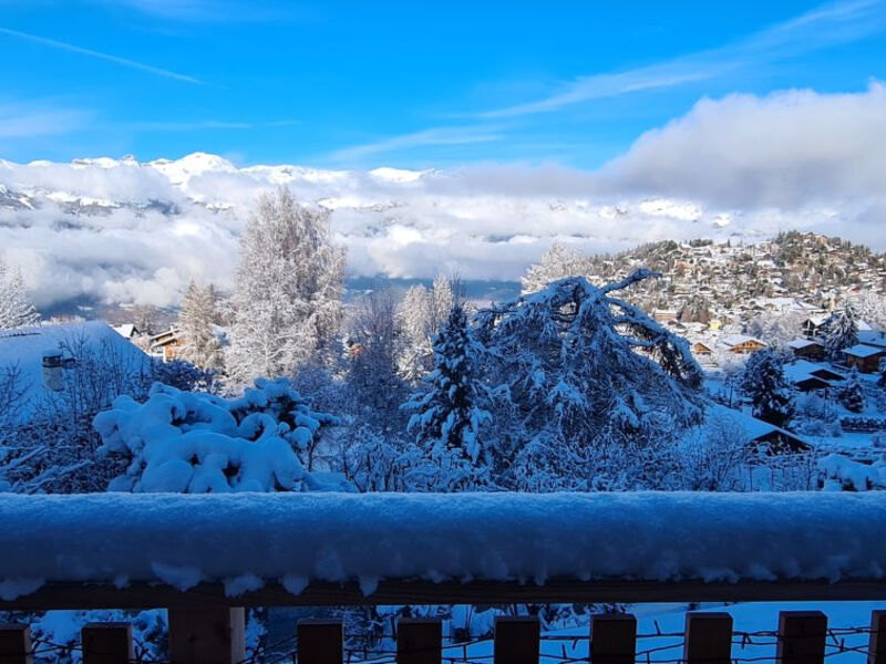 Chalet Les Anémones