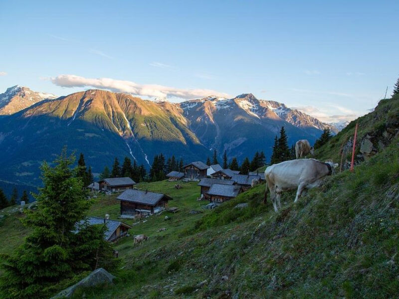 Alphütte Bielerchäller