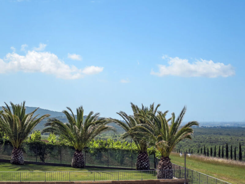 Agriturismo Il Corbezzolo