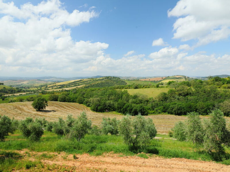 Casa Dell'Orto