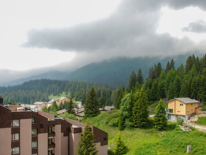 Albarella Panorama