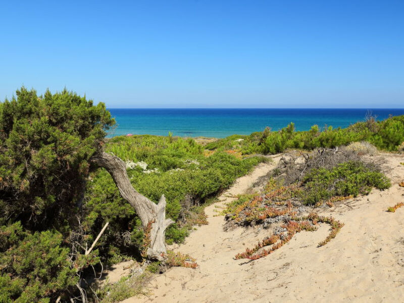 Baia Delle Mimose