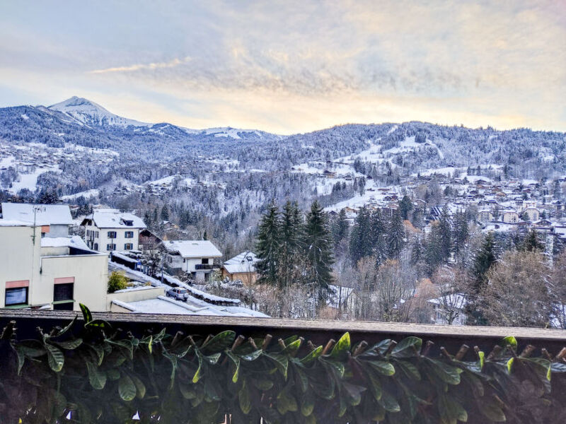 Fleurs Des Alpes