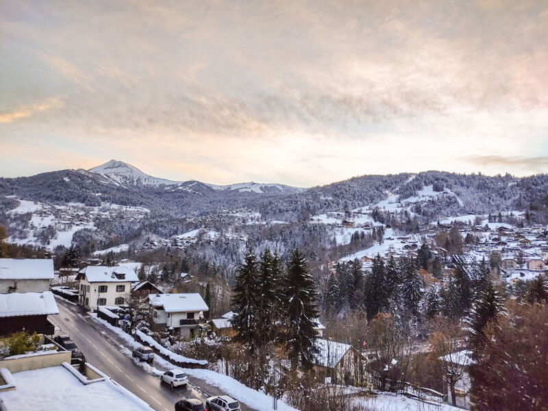 Fleurs Des Alpes