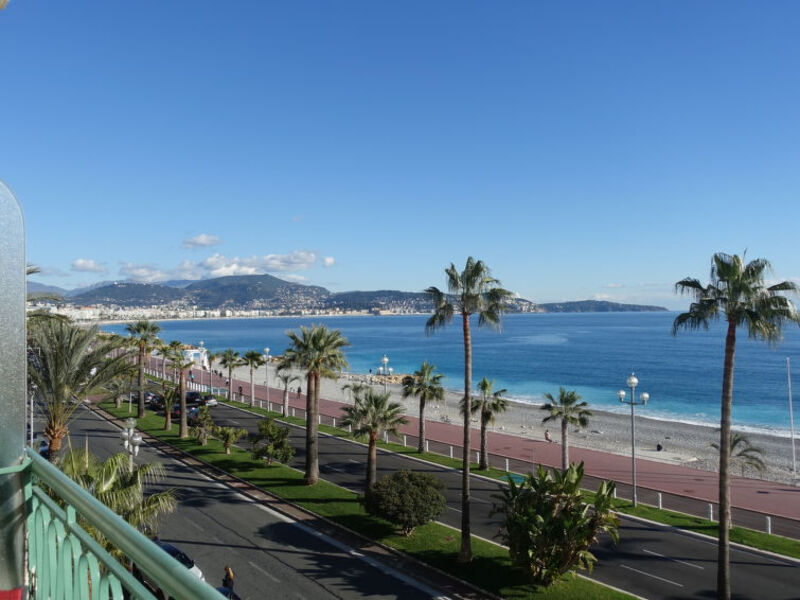 Les Yuccas Promenade Des Anglais