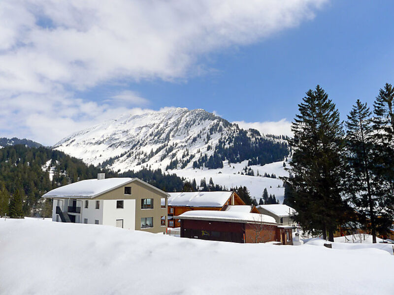 Parkhotel Arvenbühl